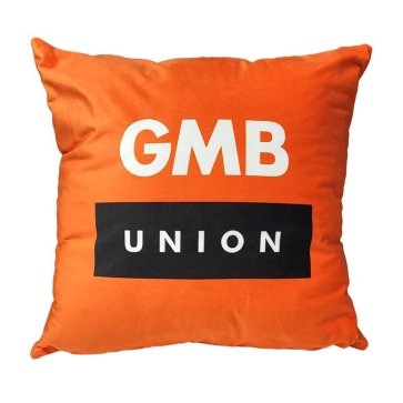 18" Cushion