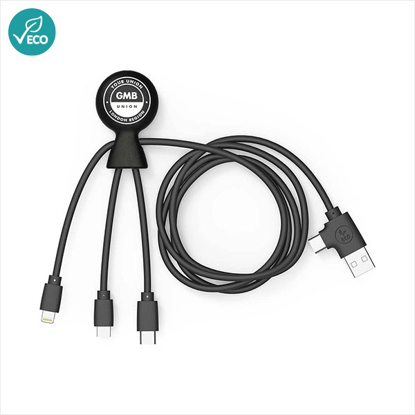 Multi store phone charger