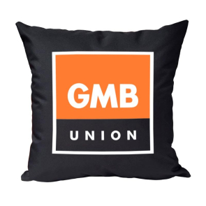 18" Cushion