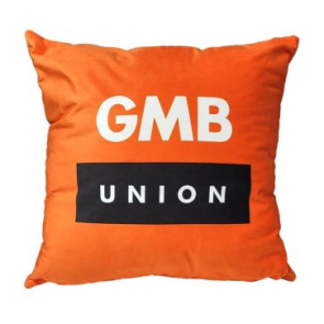 18" Cushion