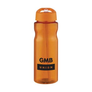 650 ml Spout Lid Sports Bottle