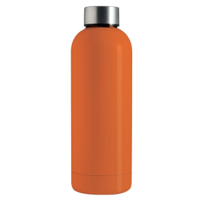 500ml Insulated Stainless Steel Bottle